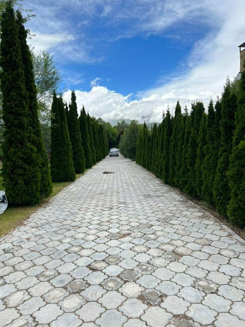 ИЛБИРС СААДАТ 2*