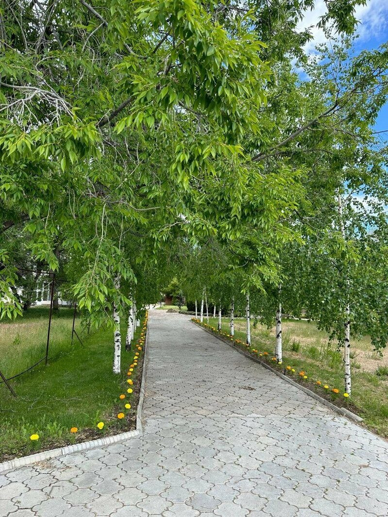 ИЛБИРС СААДАТ 2*