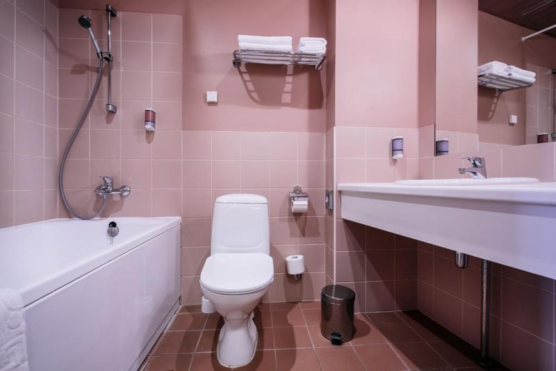 Hestia Hotel Maestro 3*