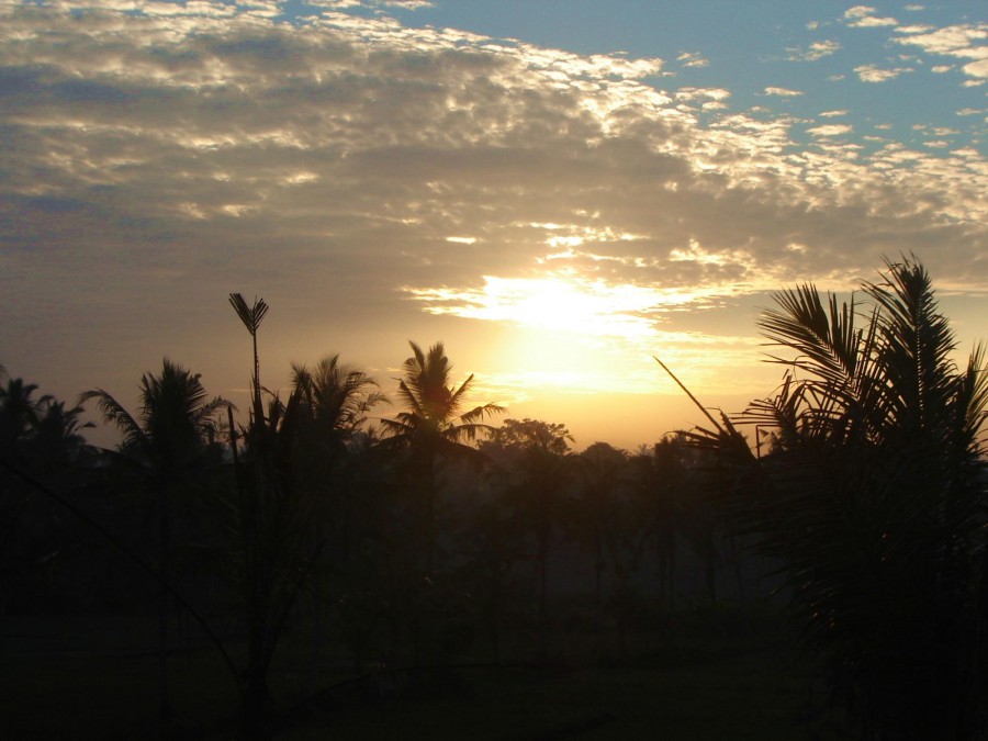 Bhanuswari Resort & Spa 3*