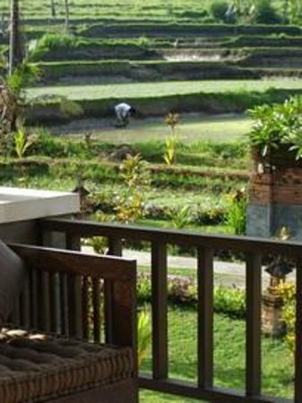 Bhanuswari Resort & Spa 3*