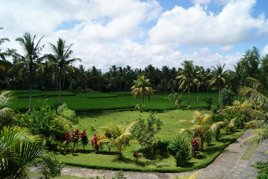 Bhanuswari Resort & Spa 3*