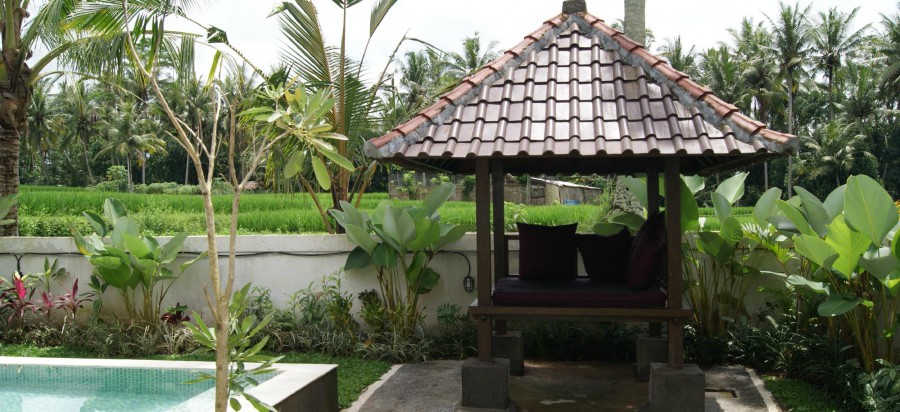 Bhanuswari Resort & Spa 3*