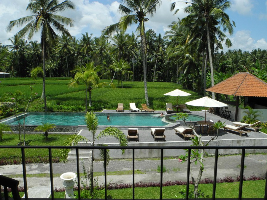 Bhanuswari Resort & Spa 3*