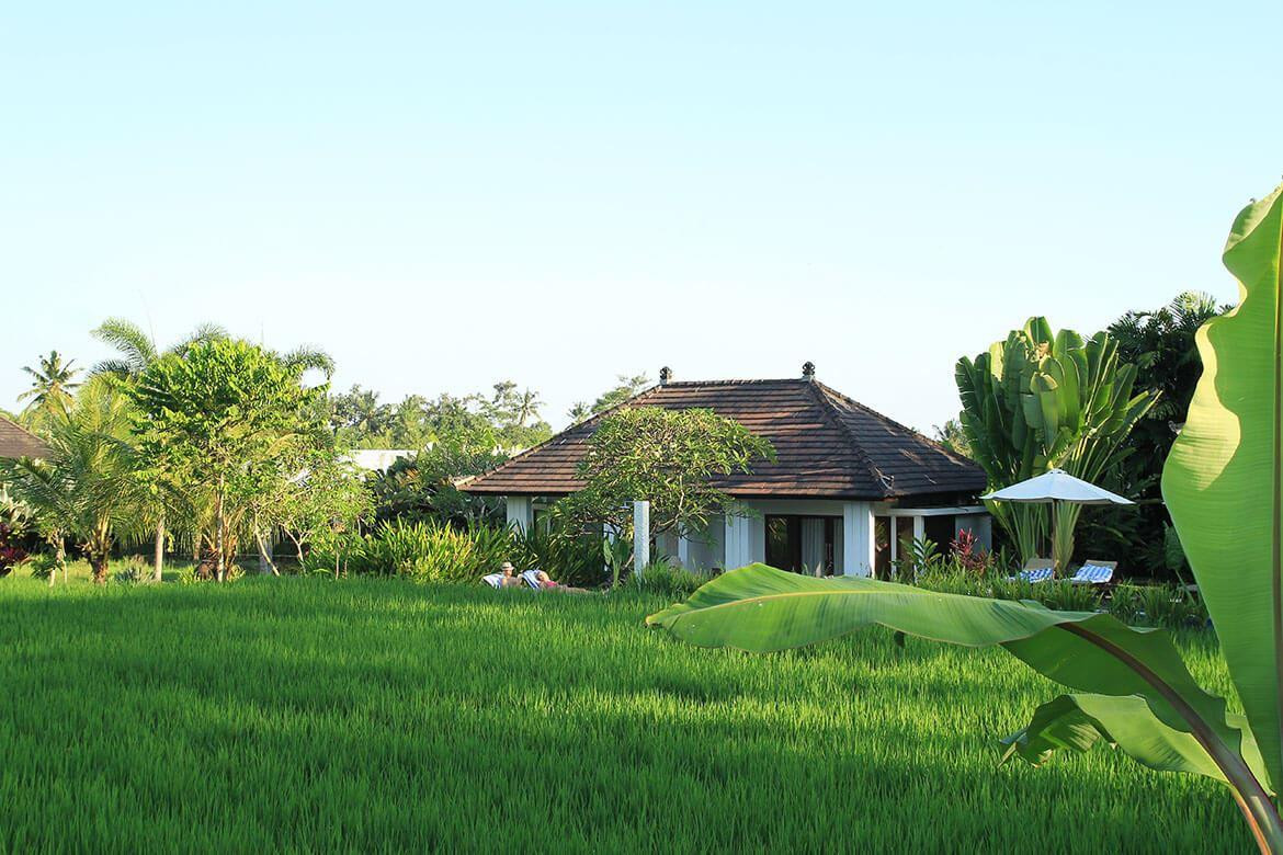 The Samara Villas & Restaurant 4*