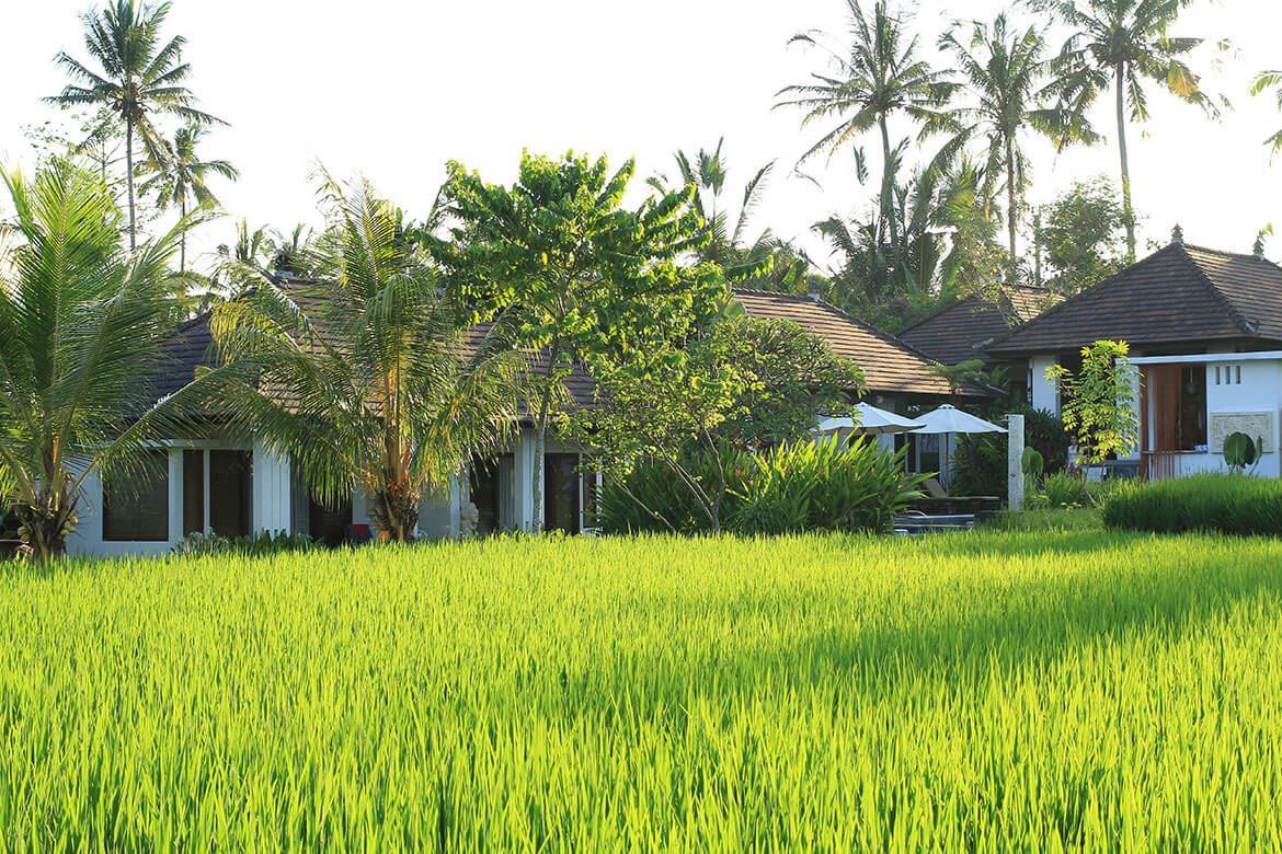 The Samara Villas & Restaurant 4*