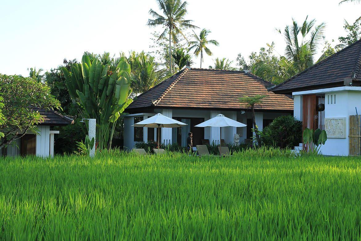 The Samara Villas & Restaurant 4*