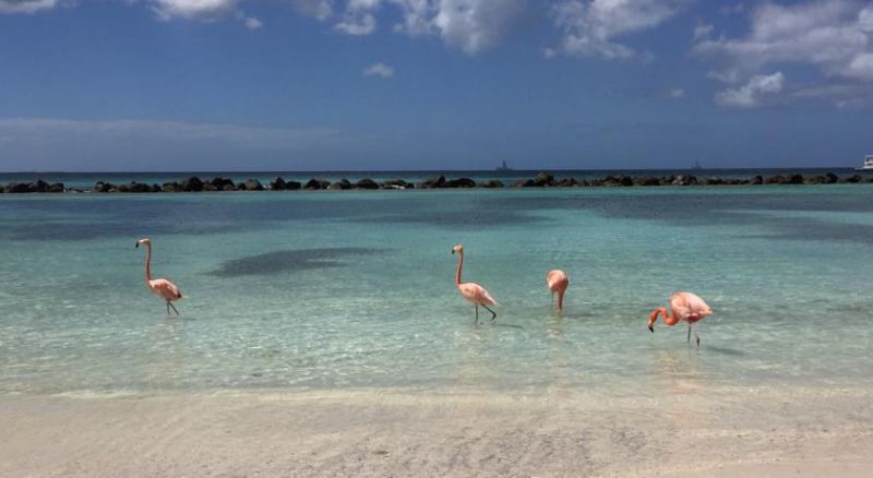 Aruba Harmony 3*