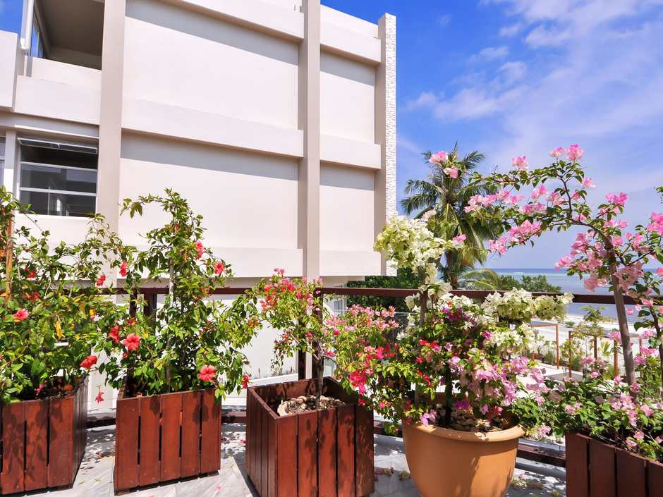 Velana Blu Maldives 3*