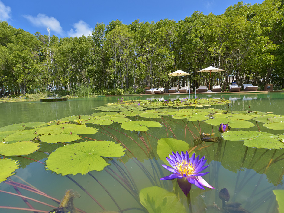 Dreamland The Unique Sea & Lake Resort 4*