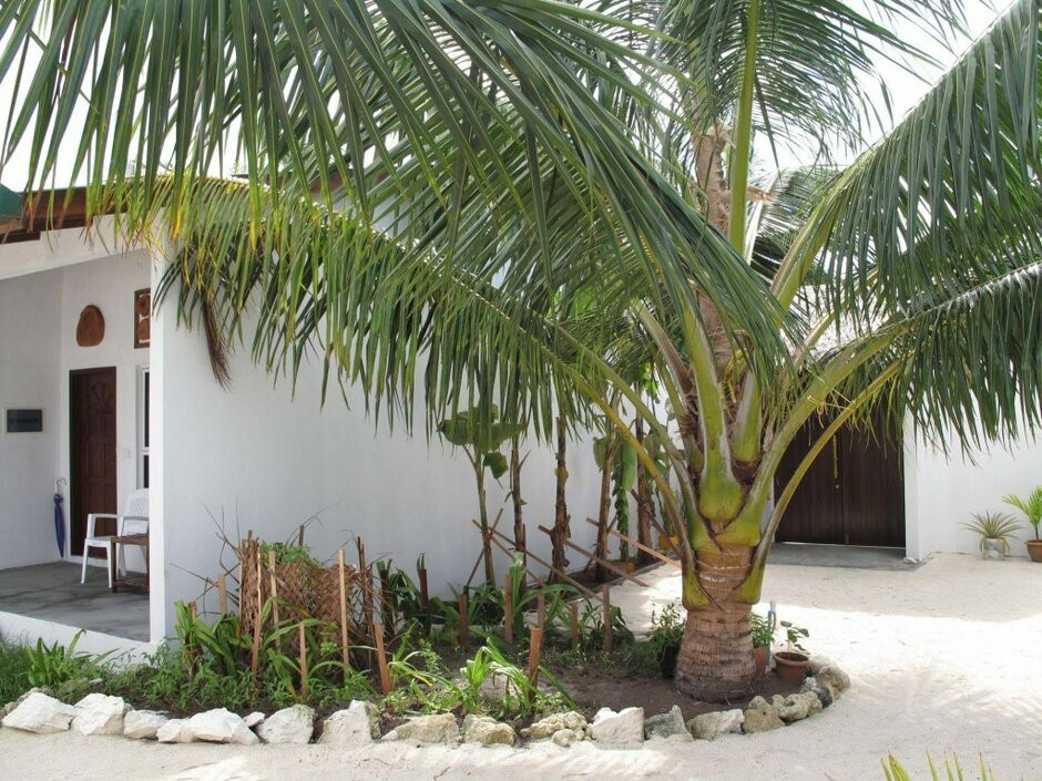 Lagoon View Maldives 4*