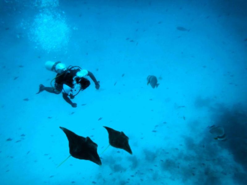 White Coral Rasdhoo 3*