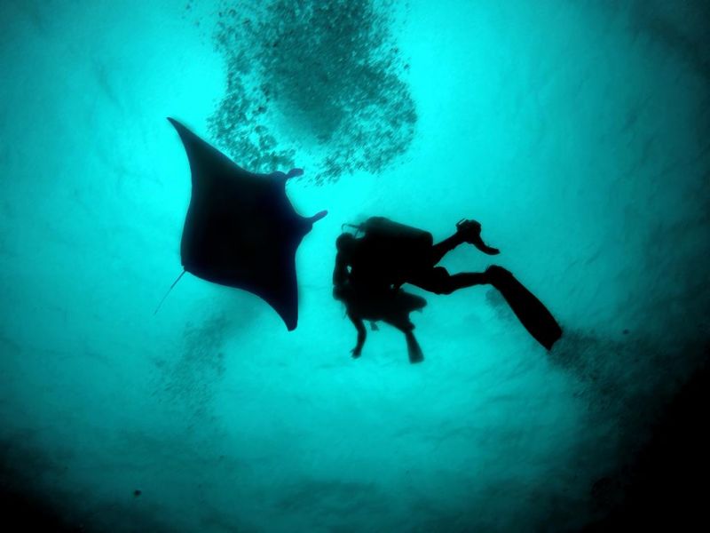 White Coral Rasdhoo 3*