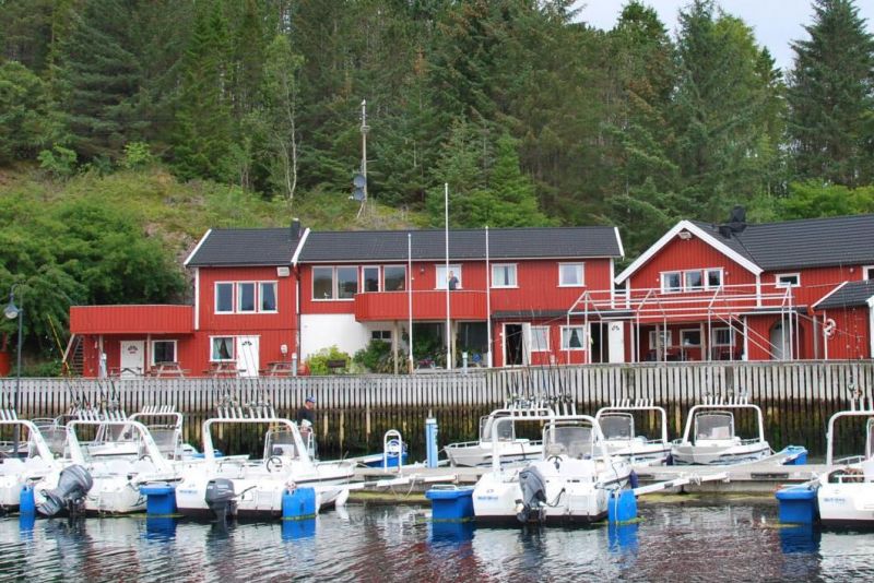 Angelamfi Grefsnesvagen Apt 3*