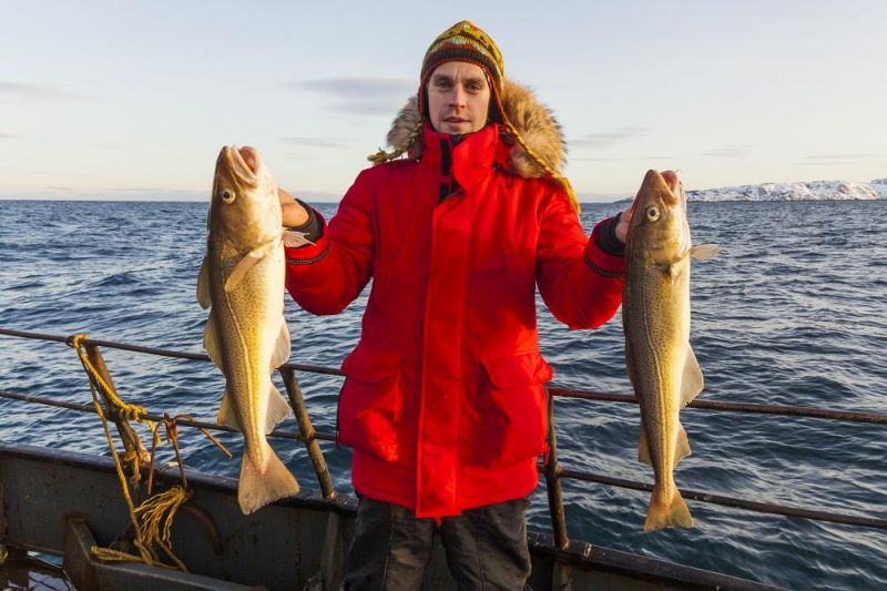 Angelamfi Hitra Kvenvaer Apt 3*