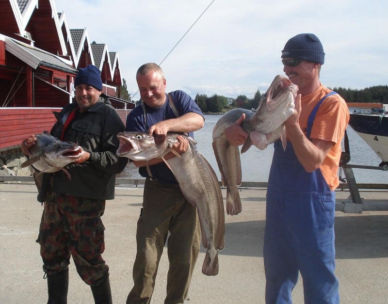 Kvalheim Fritid 4*