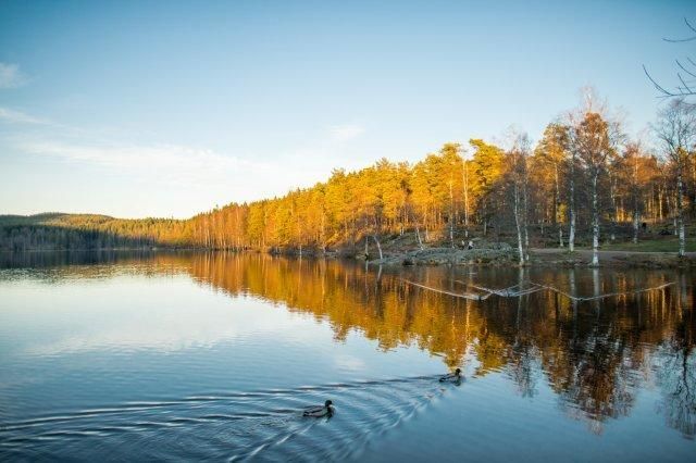 Olympiatoppen Sportshotell 3*