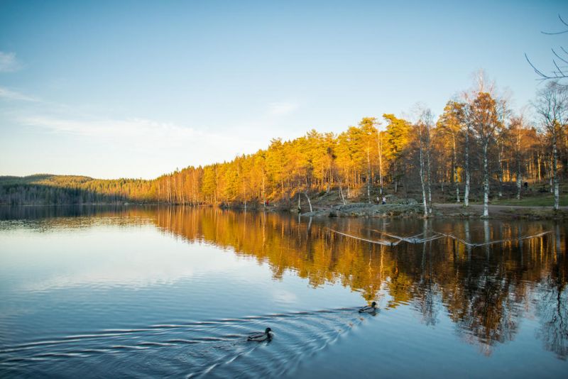 Olympiatoppen Sportshotell 3*