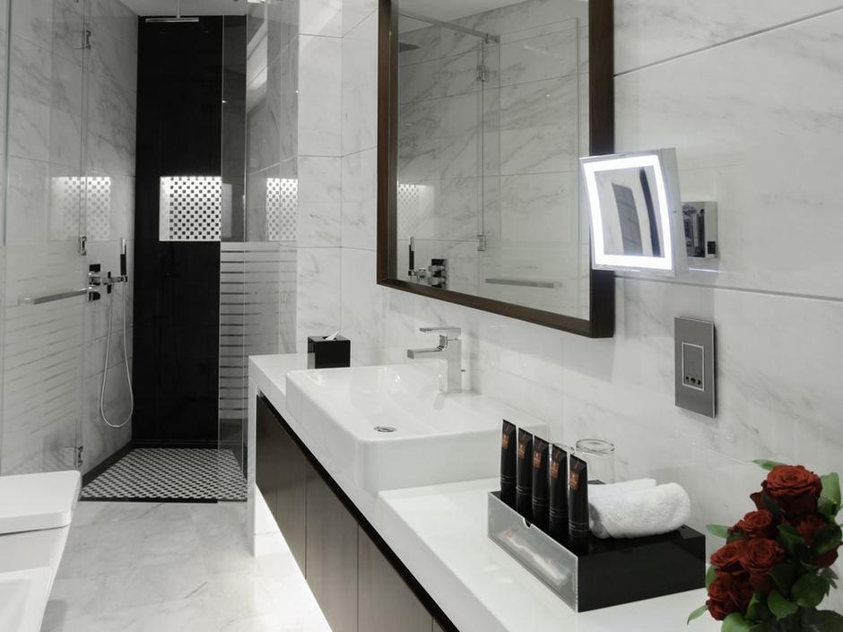 Renaissance Business Bay 5*